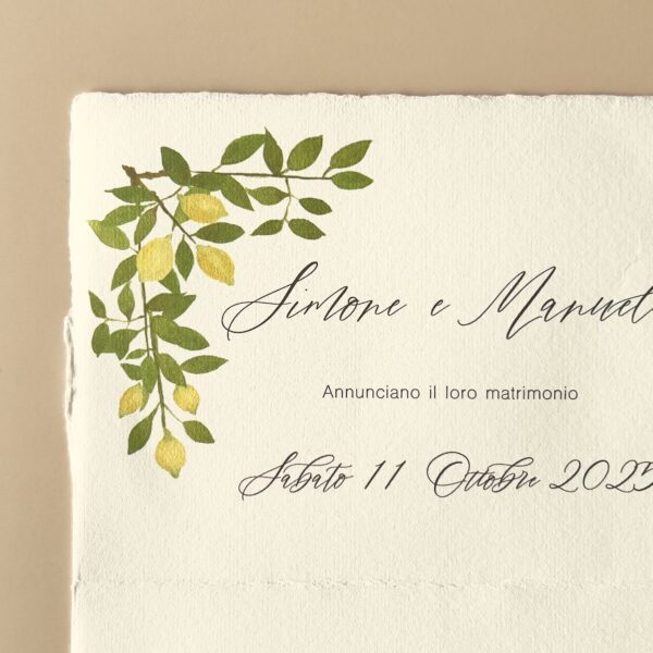 acquerello limoni su carta d'Amalfi